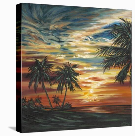 Stunning Tropical Sunset I-null-Stretched Canvas