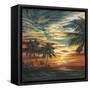 Stunning Tropical Sunset I-null-Framed Stretched Canvas