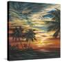 Stunning Tropical Sunset I-null-Stretched Canvas