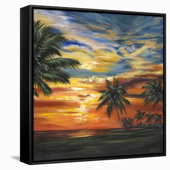 Stunning Tropical Sunset II-null-Framed Stretched Canvas