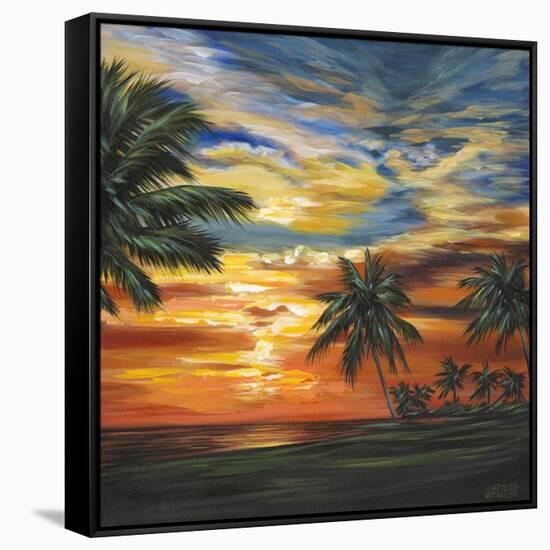 Stunning Tropical Sunset II-null-Framed Stretched Canvas