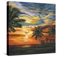 Stunning Tropical Sunset II-null-Stretched Canvas