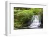 Stunning Waterfall Flowing over Rocks through Lush Green Forest with Long Exposure-Veneratio-Framed Photographic Print