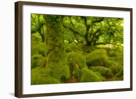 Stunted Oak Woodland Covered in Moss, Wistman's Wood, Devon, UK-Ben Hall-Framed Photographic Print