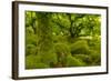 Stunted Oak Woodland Covered in Moss, Wistman's Wood, Devon, UK-Ben Hall-Framed Photographic Print