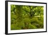 Stunted Oak Woodland Covered in Moss, Wistman's Wood, Devon, UK-Ben Hall-Framed Photographic Print