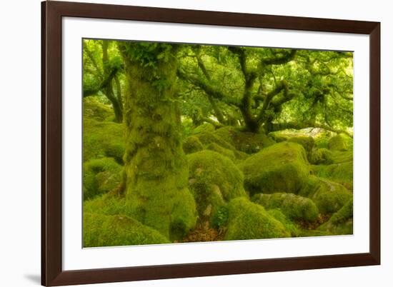 Stunted Oak Woodland Covered in Moss, Wistman's Wood, Devon, UK-Ben Hall-Framed Photographic Print