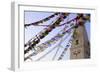 Stupa and Prayer Flags in the Whochen Thokjay Choyaling Monastery, Swayambhu, Nepal, Asia-Simon Montgomery-Framed Photographic Print