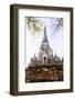 Stupa (Chedi) at Wat Mahathat, Ayutthaya, UNESCO World Heritage Site, Thailand, Southeast Asia-Alex Robinson-Framed Photographic Print