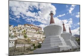 Stupa in the Village near Thikse Monastery-Guido Cozzi-Mounted Photographic Print