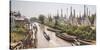 Stupas at Ywama Paya Buddhist Temple Complex, Inle Lake, Shan State, Myanmar (Burma), Asia-Matthew Williams-Ellis-Stretched Canvas