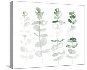 Sturdier Stems-Sarah Von Dreele-Stretched Canvas