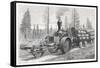 Sturdy Three-Wheeled Steam- Powered Traction Engine Used in the Timber Industry California-Dietrich-Framed Stretched Canvas
