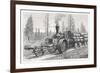Sturdy Three-Wheeled Steam- Powered Traction Engine Used in the Timber Industry California-Dietrich-Framed Premium Giclee Print
