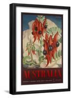 Sturt's Desert Pea, Australia Travel Poster-null-Framed Giclee Print