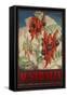 Sturt's Desert Pea, Australia Travel Poster-null-Framed Stretched Canvas