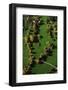 Stuttgart, Rosensteinstrasse, Germany, Baden-Wuerttemberg, aerial picture, aerial photo-Manfred Storck-Framed Photographic Print