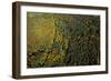 Stuttgart-Vaihingen, area of 'Steinengarten', autumnal forest, Germany, Baden-Wuerttemberg, aerial -Manfred Storck-Framed Photographic Print