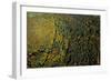 Stuttgart-Vaihingen, area of 'Steinengarten', autumnal forest, Germany, Baden-Wuerttemberg, aerial -Manfred Storck-Framed Photographic Print