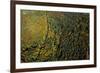 Stuttgart-Vaihingen, area of 'Steinengarten', autumnal forest, Germany, Baden-Wuerttemberg, aerial -Manfred Storck-Framed Photographic Print