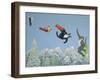 Style and Ability-Pat Scott-Framed Giclee Print