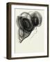 Style High-Eva Hjelte-Framed Giclee Print