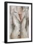 Style III-Rikki Drotar-Framed Giclee Print