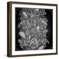 Stylish Floral Background, Hand Drawn Retro Flowers-Ozerina Anna-Framed Art Print