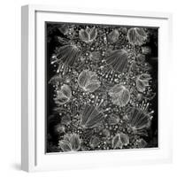 Stylish Floral Background, Hand Drawn Retro Flowers-Ozerina Anna-Framed Art Print