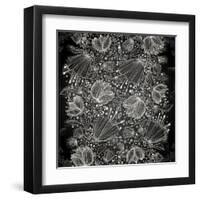 Stylish Floral Background, Hand Drawn Retro Flowers-Ozerina Anna-Framed Art Print