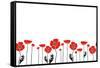 Stylish Red and Black Poppies on White Background-Alisa Foytik-Framed Stretched Canvas