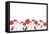 Stylish Red and Black Poppies on White Background-Alisa Foytik-Framed Stretched Canvas