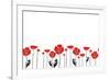 Stylish Red and Black Poppies on White Background-Alisa Foytik-Framed Art Print