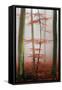 Stylishness-Philippe Sainte-Laudy-Framed Stretched Canvas