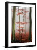 Stylishness-Philippe Sainte-Laudy-Framed Photographic Print