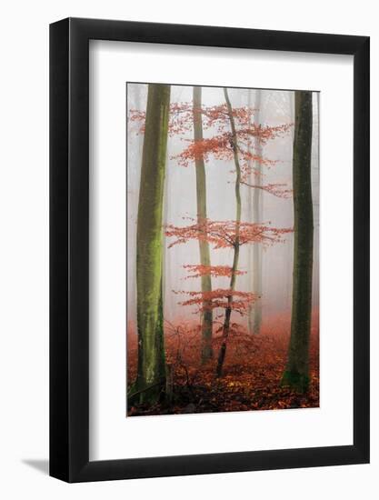 Stylishness-Philippe Sainte-Laudy-Framed Photographic Print