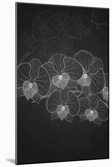 Stylized Drawing with Chalk on Blackboard-HelenStock-Mounted Art Print