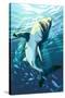 Stylized Great White Shark-Lantern Press-Stretched Canvas