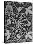 Stylized Vegetation Motif in a Stucco Panel in the Alhambra-David Lees-Stretched Canvas
