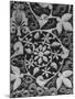 Stylized Vegetation Motif in a Stucco Panel in the Alhambra-David Lees-Mounted Premium Photographic Print