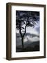 Stylized vista, Blue Ridge Parkway, Smoky Mountains, USA.-Anna Miller-Framed Photographic Print