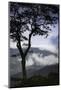 Stylized vista, Blue Ridge Parkway, Smoky Mountains, USA.-Anna Miller-Mounted Photographic Print