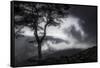 Stylized vista, Blue Ridge Parkway, Smoky Mountains, USA.-Anna Miller-Framed Stretched Canvas