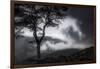 Stylized vista, Blue Ridge Parkway, Smoky Mountains, USA.-Anna Miller-Framed Photographic Print