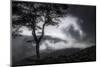 Stylized vista, Blue Ridge Parkway, Smoky Mountains, USA.-Anna Miller-Mounted Photographic Print