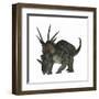 Styracosaurus, a Herbivorous Ceratopsian Dinosaur-null-Framed Art Print