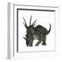 Styracosaurus, a Herbivorous Ceratopsian Dinosaur-null-Framed Art Print