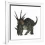 Styracosaurus, a Herbivorous Ceratopsian Dinosaur-null-Framed Art Print