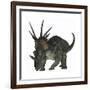 Styracosaurus, a Herbivorous Ceratopsian Dinosaur-null-Framed Art Print