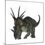 Styracosaurus, a Herbivorous Ceratopsian Dinosaur-null-Mounted Art Print